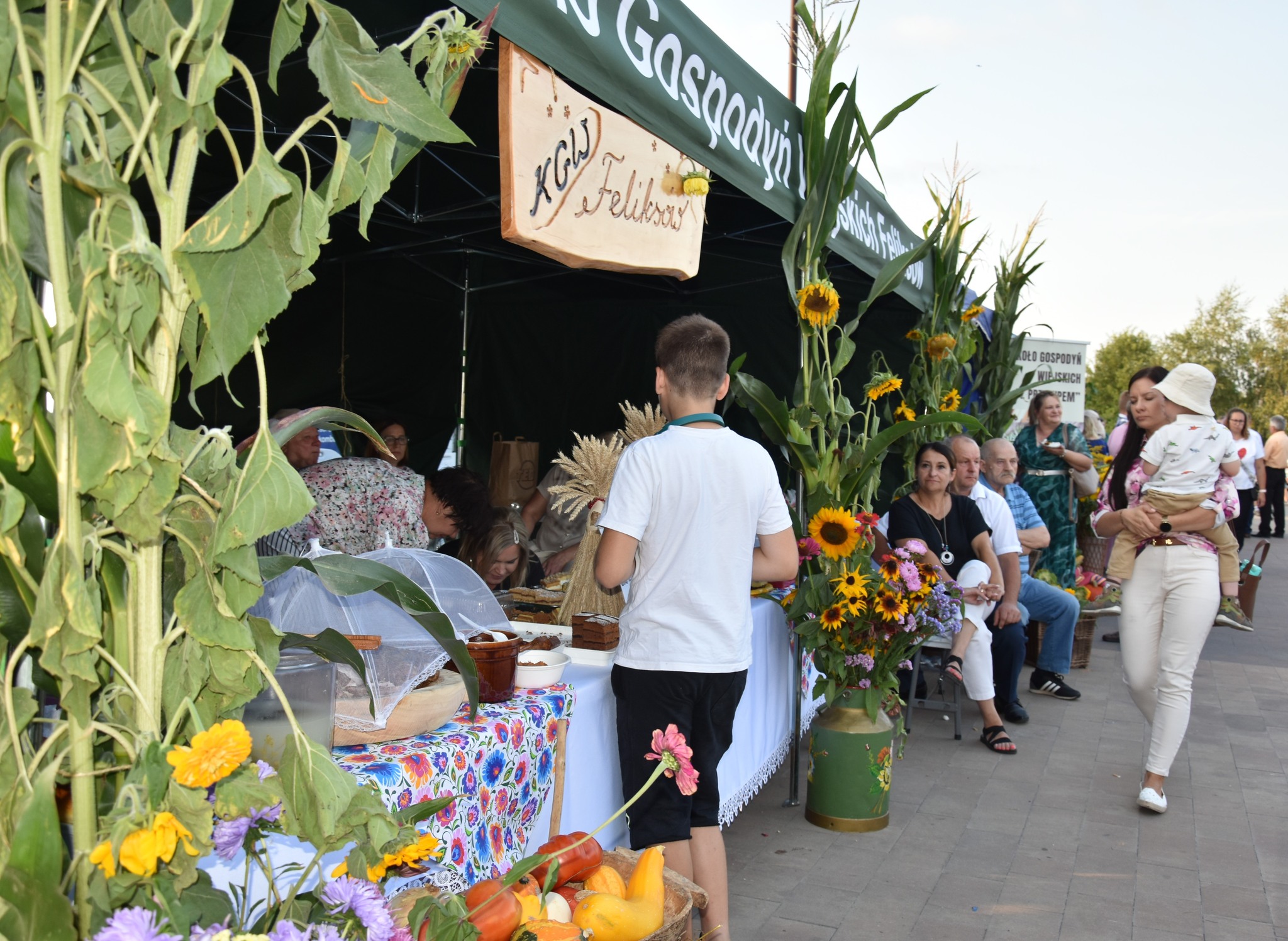 Dożynki Gminne 2025 w Wojsławicach